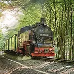 Duenenpark 087